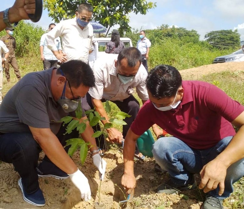 MLA Moatoshi Longkumer planting saplings of Amaltas Golden shower on August 19. (Photo Courtesy: DGC)